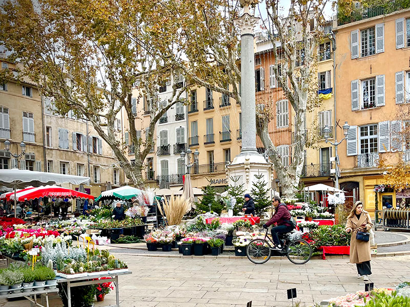 Aix-en-Provence flower market in winter