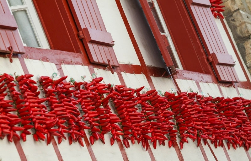 Bright red Espelette peppers drying in the open air