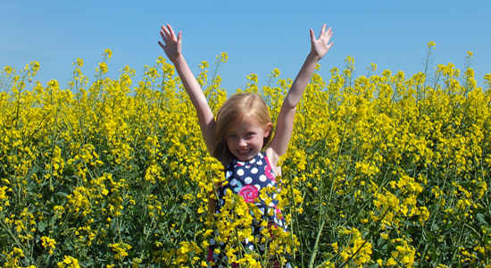 Little girl plays in a field of flowering yellow plants