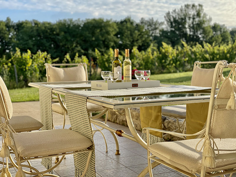 Table in a gorgeous garden overlooking vineyards a gite in Bergerac
